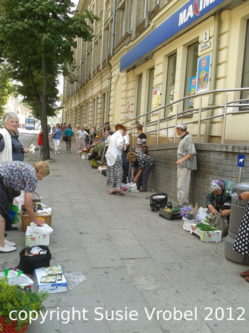 susie vrobel vilnius